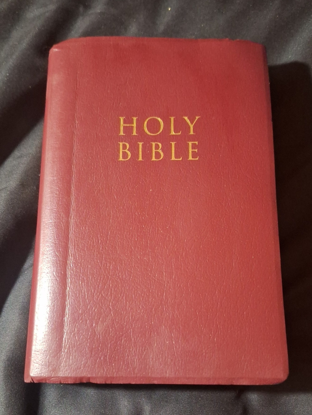 Red Holy Bible - Trusted Religious Paperback